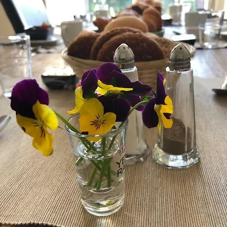 De Oude Wasserij Couette-café