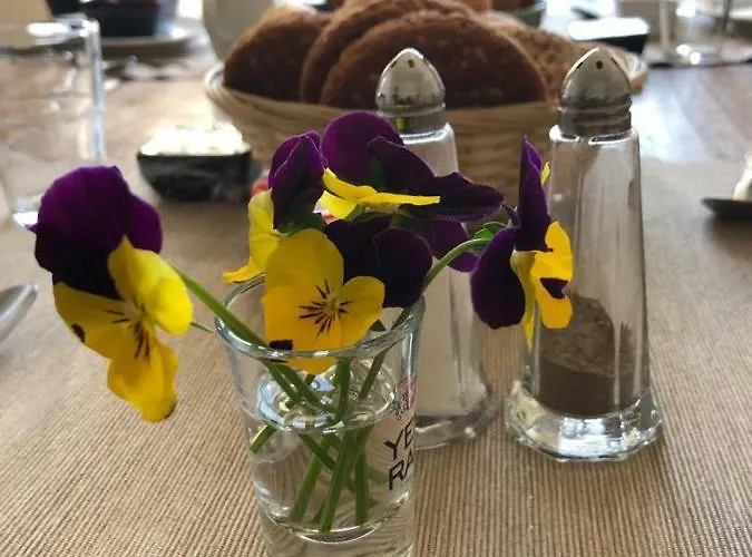 De Oude Wasserij Bed & Breakfast