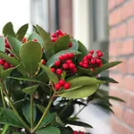 De Oude Wasserij 3* Doesburg