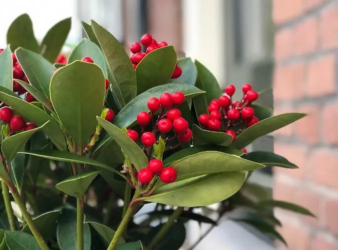 De Oude Wasserij 3* Doesburg