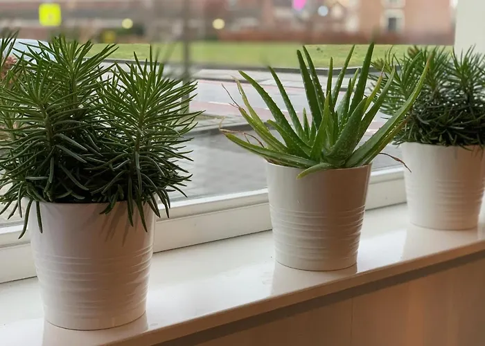 Panzió De Oude Wasserij